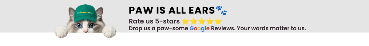 GoInsuran Google Review