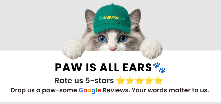 GoInsuran Google Review