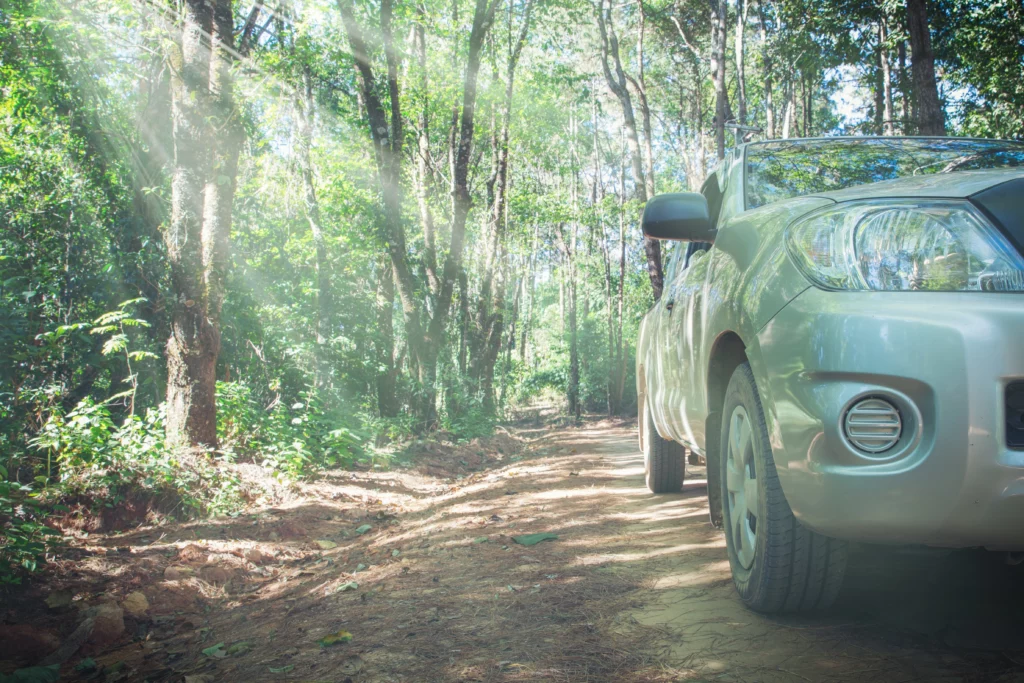 car with dirt road rally nature background