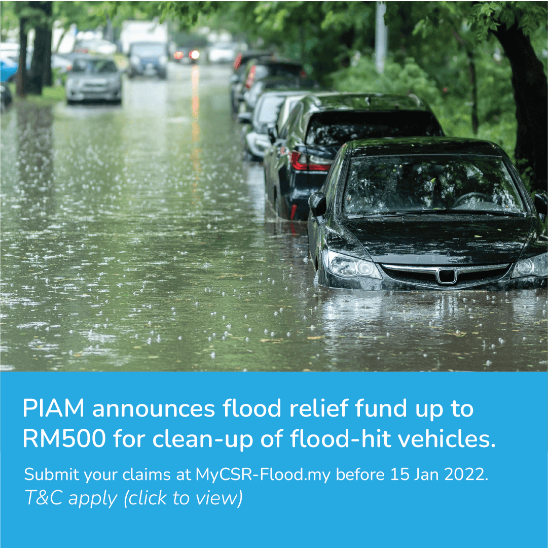 PIAM.flood 1